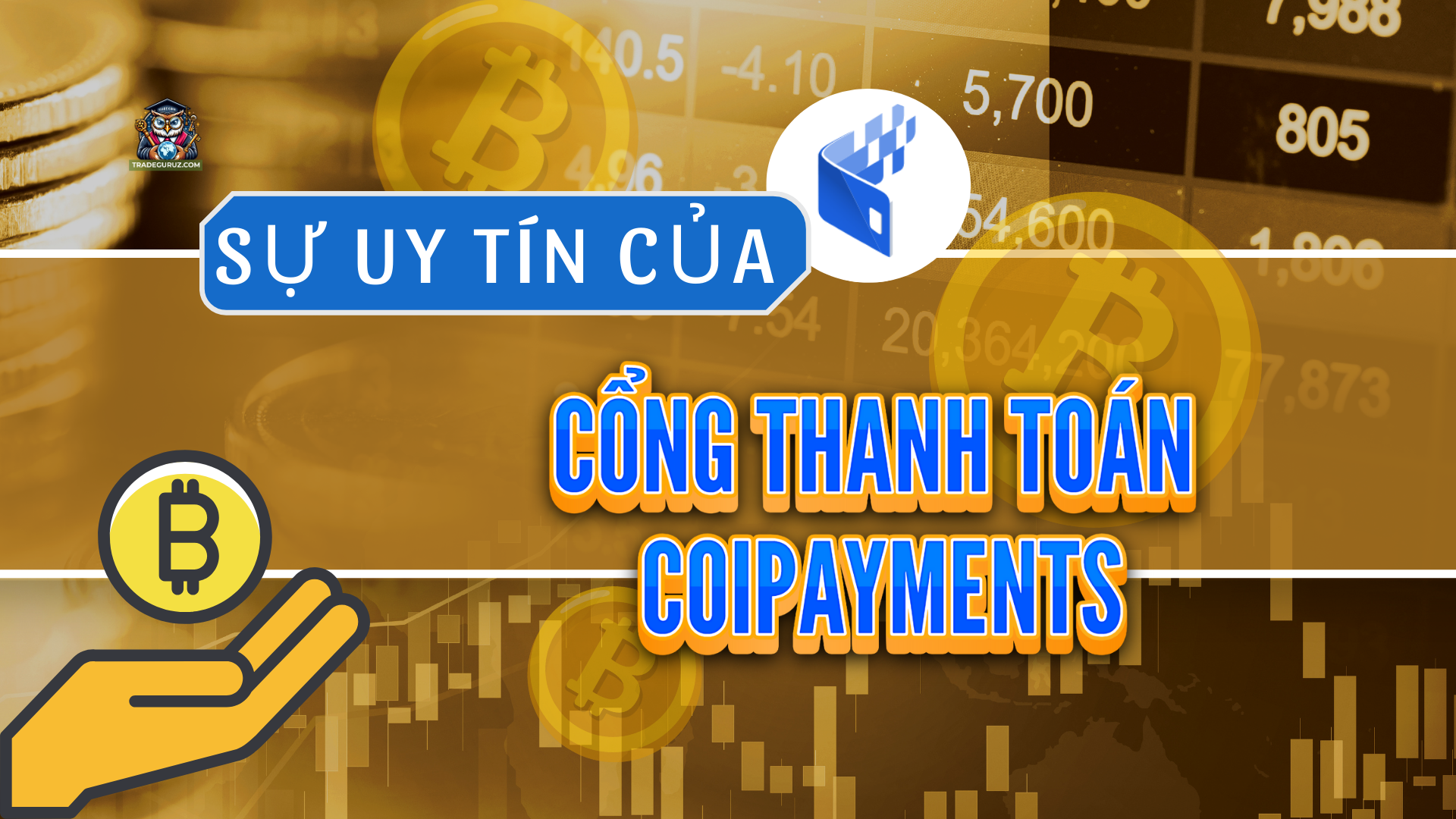 Sự uy tín của cổng thanh toán coinpaymnets